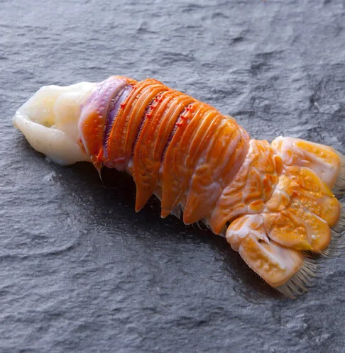 Crustacean processing Coquimbo Chile
