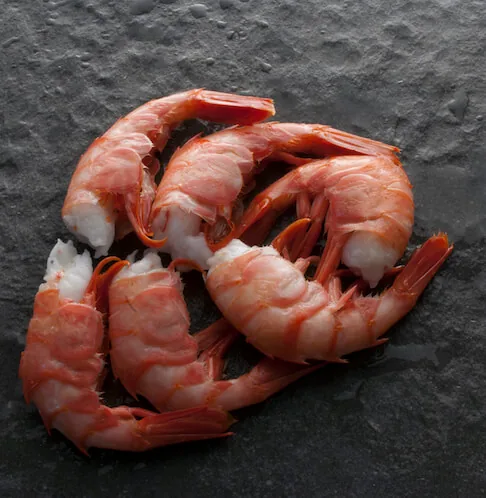 Antartic Seafood quality control