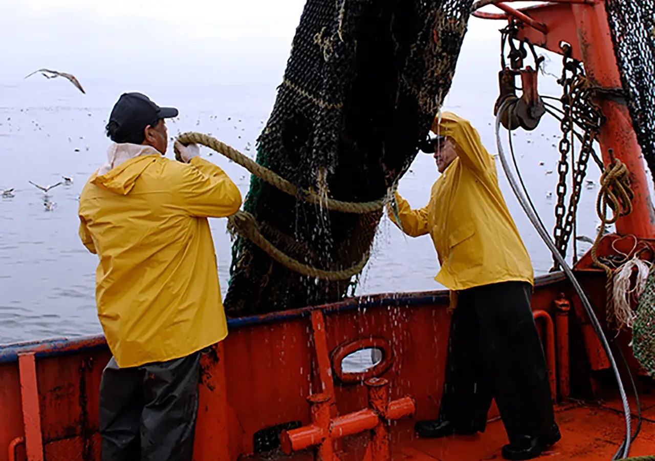 Antartic Seafood fleet