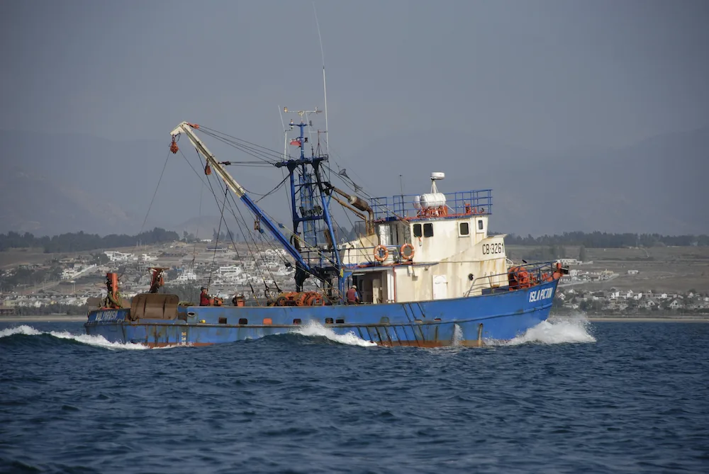 Antartic Seafood fishing fleet Coquimbo