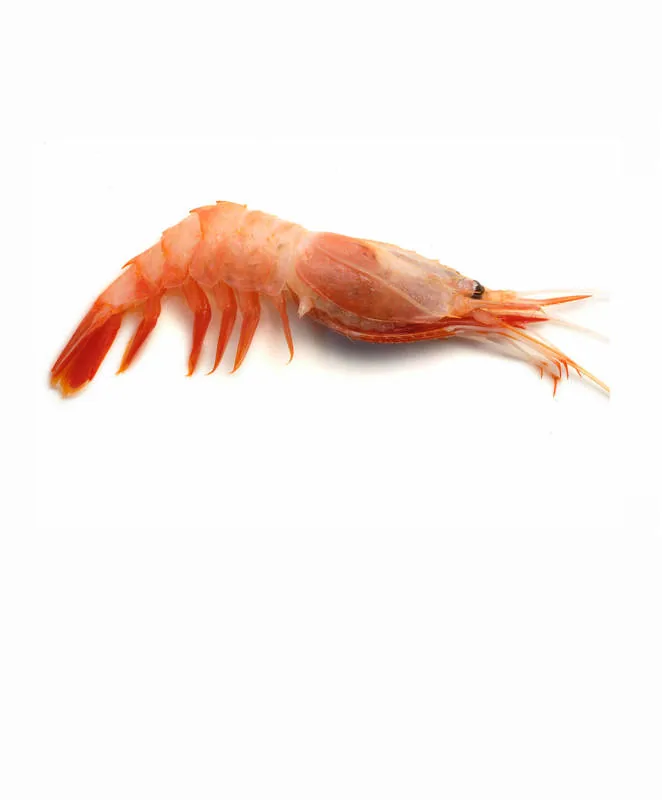 IQF nylon shrimp Heterocarpus reedi from Chile