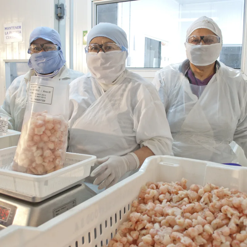 Antartic Seafood quality
